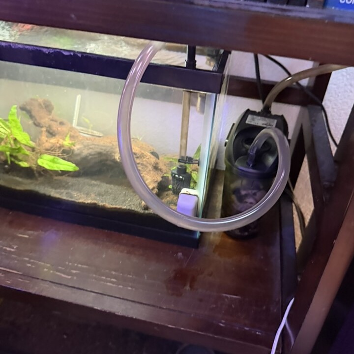 A small aquarium beside its external canister filter, with clear tubing looped between the tank and filter