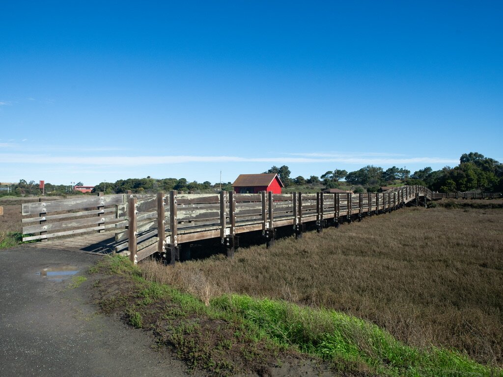 A wooden boardwalk curving through a marsh toward a small red structure