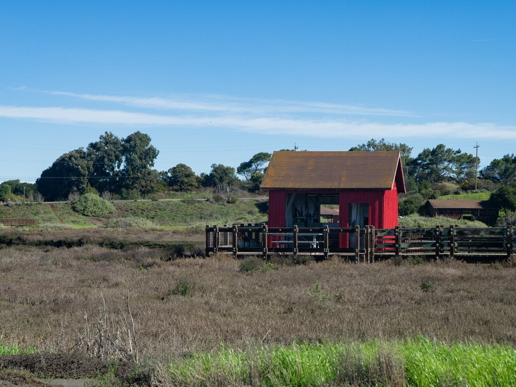 A small red field shelter standing beyond dry grass under a clear blue sky