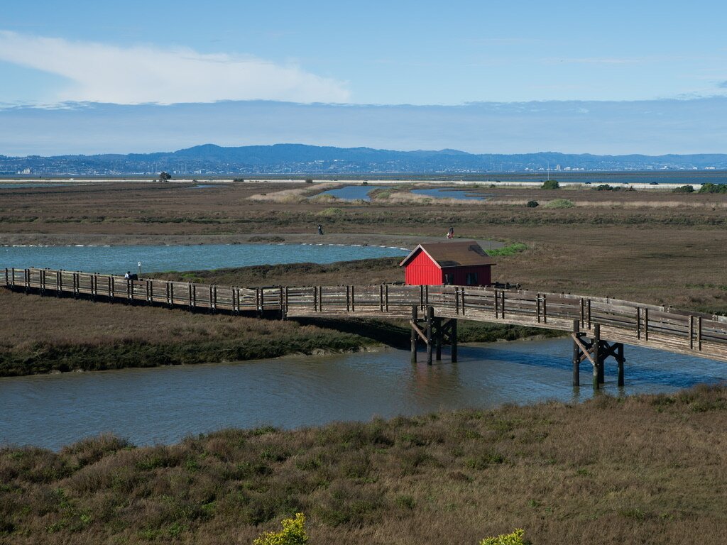 A red wetland structure at the end of a boardwalk across a tidal channel